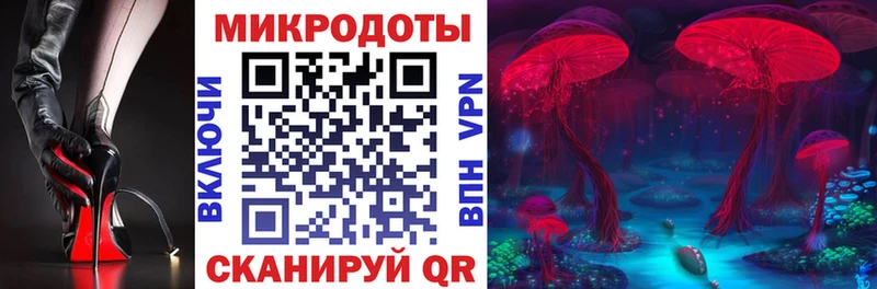 Псилоцибиновые грибы MAGIC MUSHROOMS  дарк нет наркотические препараты  Димитровград 
